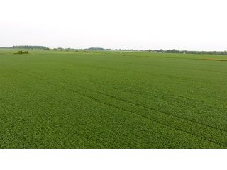 Property photo 15 - IMPORTANT OHIO LAND AUCTION - 325.5+/- ACRES OFFERED IN 8 TRACTS IN PICKAWAY COUNTY, OHIO